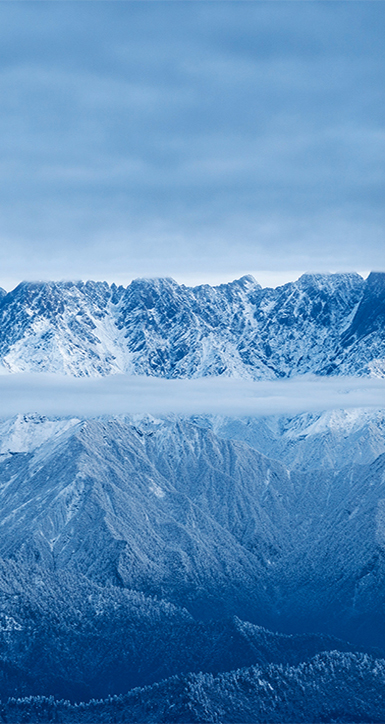 关于金年会金字招牌